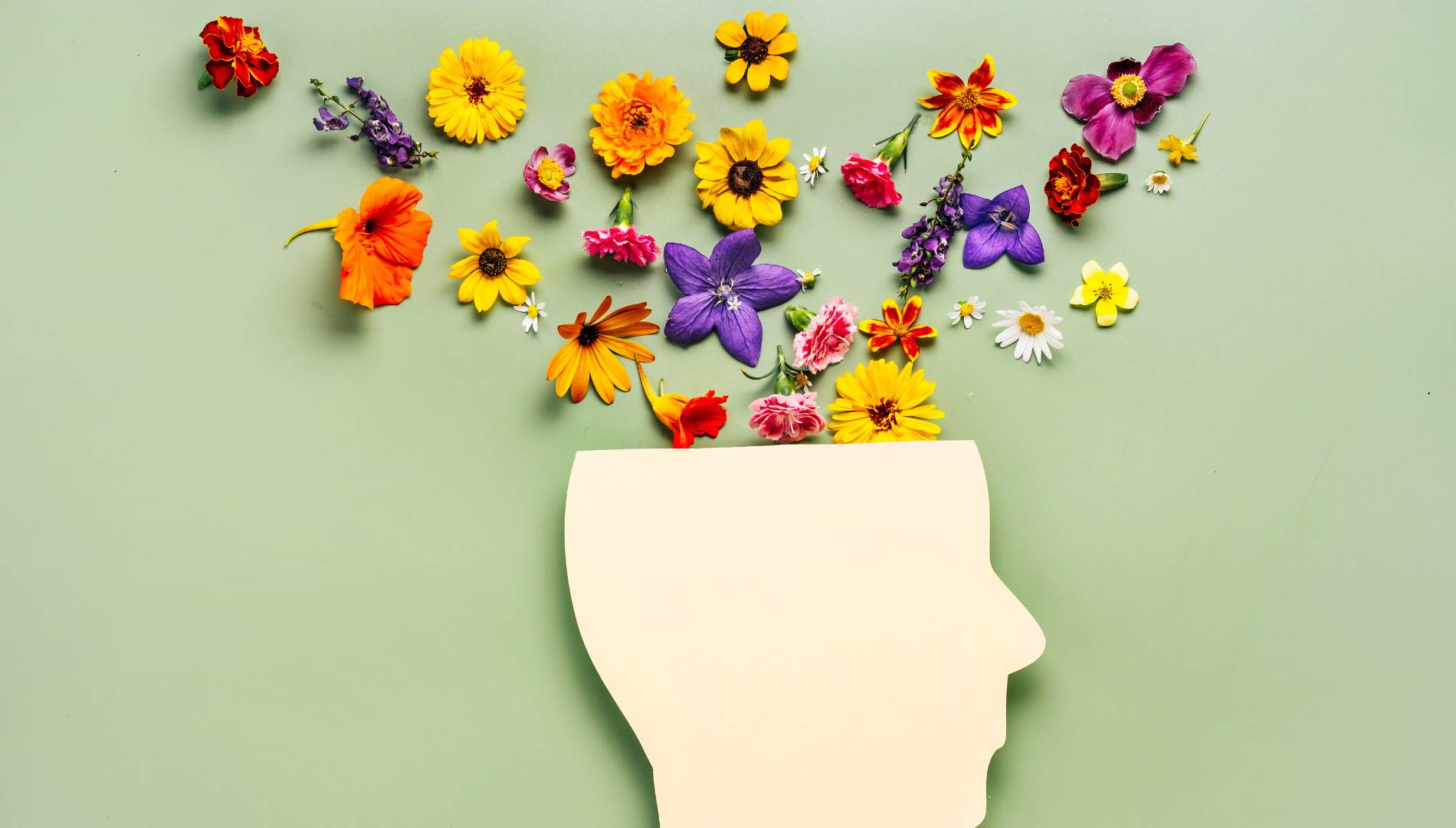 neurodivergencia vs neurotípicidad
